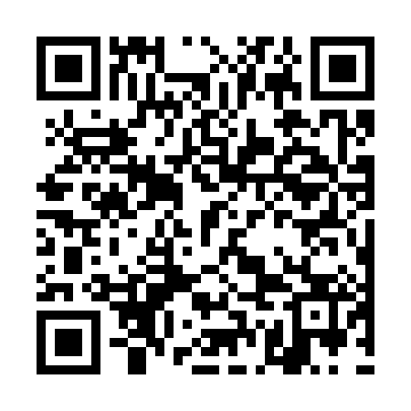 QR code for DGG383