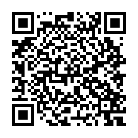 QR code for DGX307