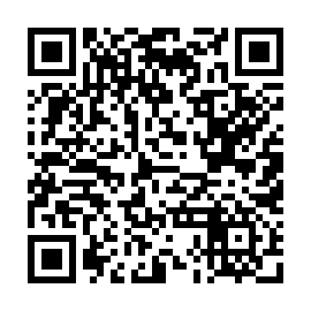 QR code for DHE397