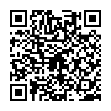 QR code for DHG0385