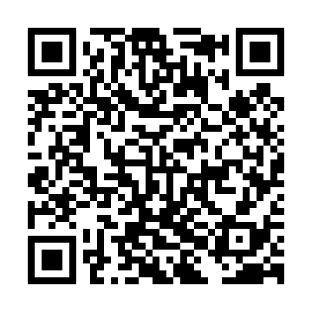 QR code for DHG438