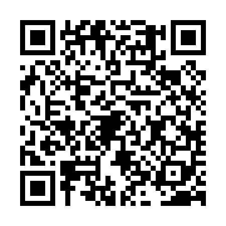 QR code for DHR0597