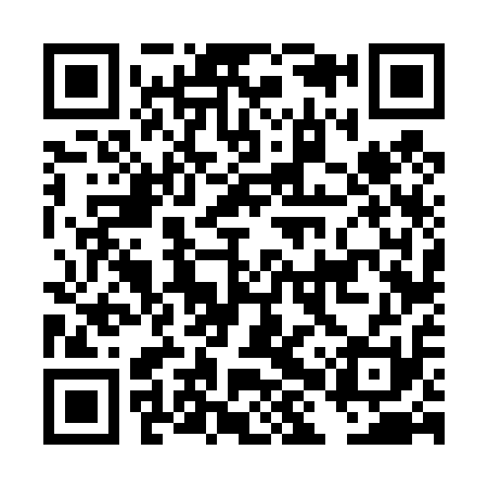 QR code for DHV411