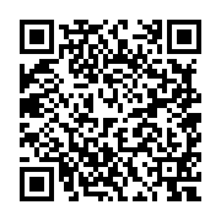 QR code for DHW8913