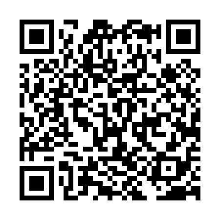 QR code for DID018