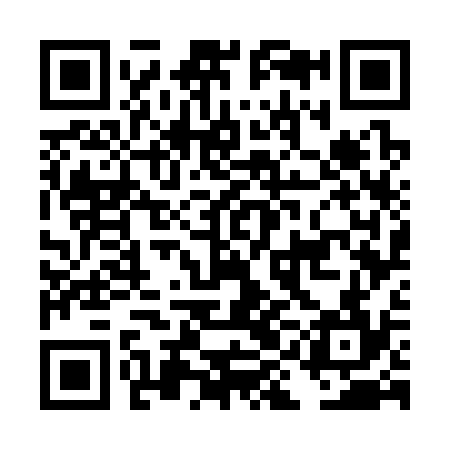 QR code for DIG334
