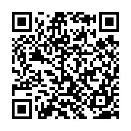QR code for DIG654