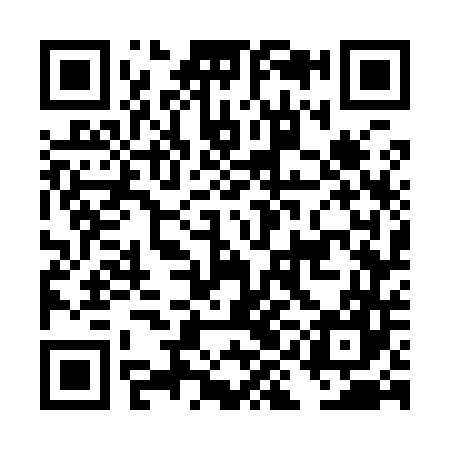 QR code for DIG947