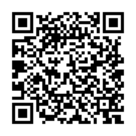 QR code for DIG9536