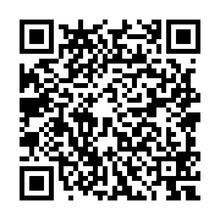 QR code for DIM1996
