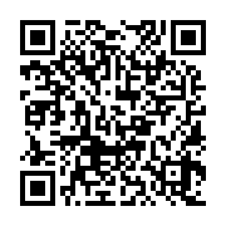 QR code for DIO938