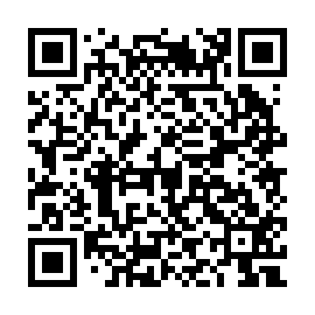 QR code for DIP213