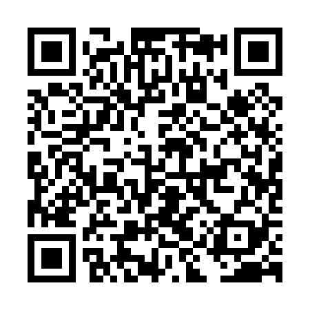 QR code for DIQ029