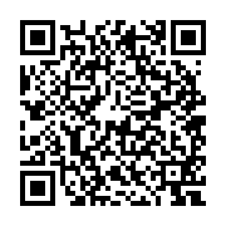 QR code for DIR2929