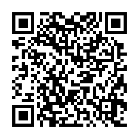 QR code for DIS336