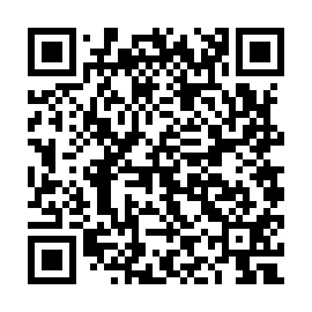 QR code for DIV911