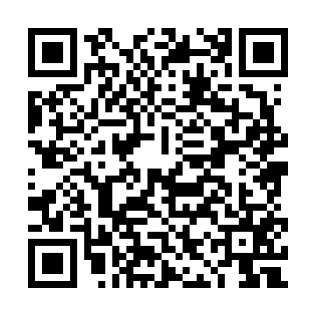 QR code for DIX6550