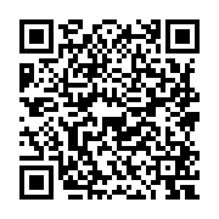 QR code for DIY9413