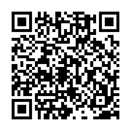 QR code for DIZ3166
