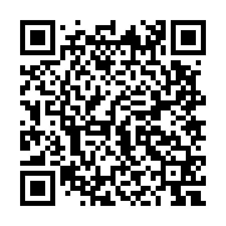 QR code for DIZ560