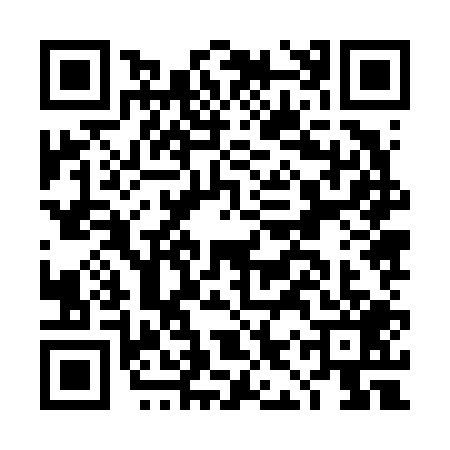 QR code for DIZ6096