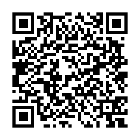 QR code for DJO4317