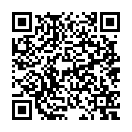 QR code for DJZ0379