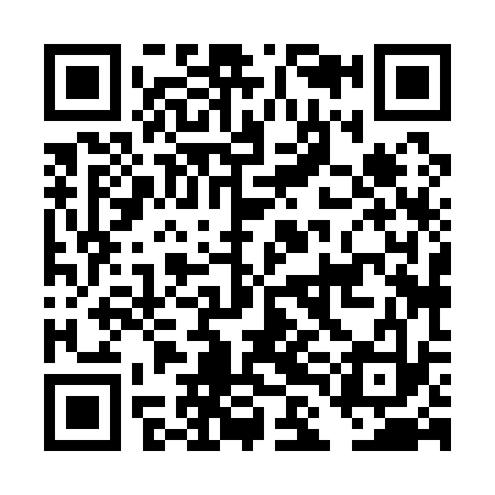 QR code for DLH133