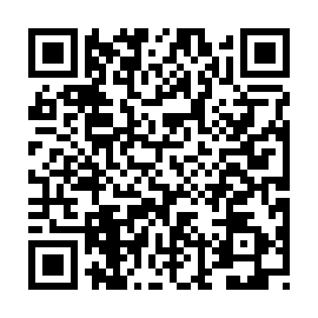 QR code for DLP2924