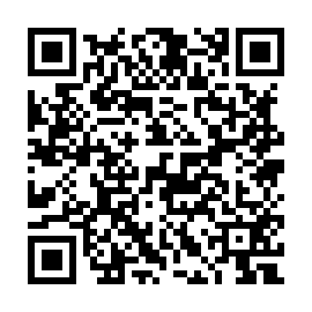 QR code for DLQ8529