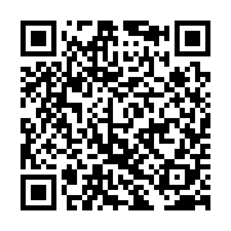 QR code for DLS308