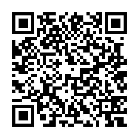 QR code for DLW0394