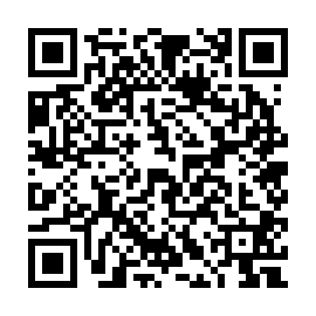 QR code for DLW2007
