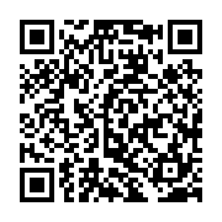 QR code for DLX234