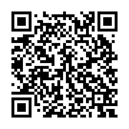 QR code for DMG223