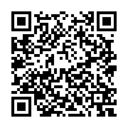 QR code for DMI0236
