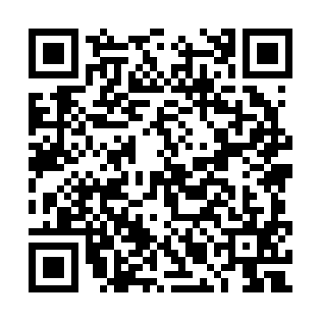 QR code for DMM2953