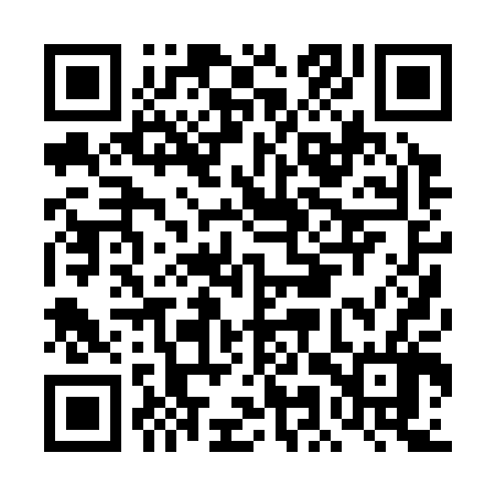 QR code for DMP306