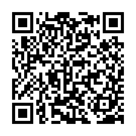 QR code for DMS241