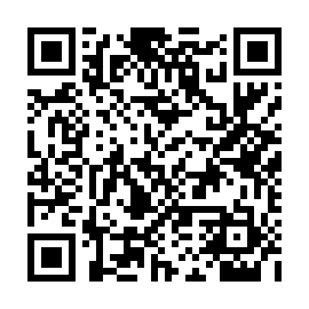 QR code for DMS413