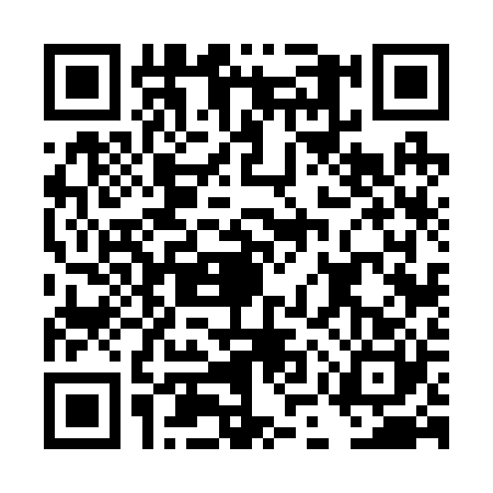 QR code for DMV2208