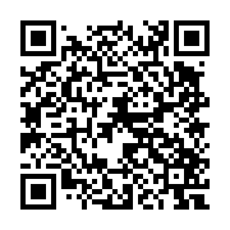 QR code for DNA447