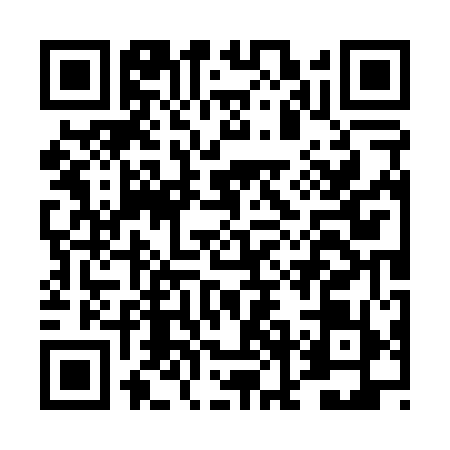 QR code for DNO0597