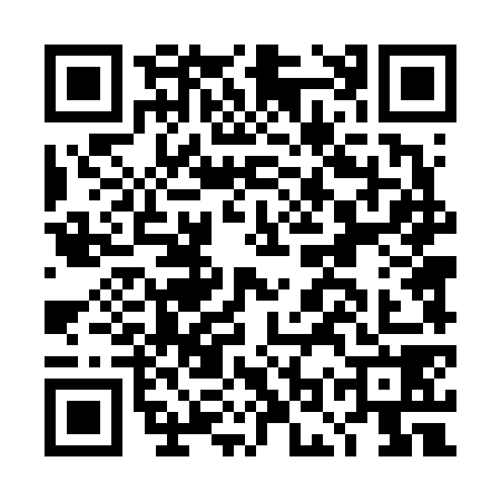 QR code for DOT6781
