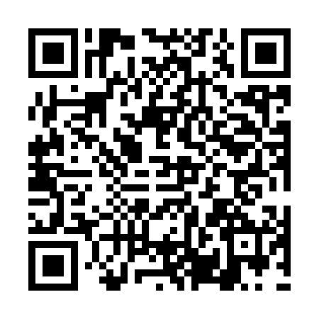 QR code for DPH9004
