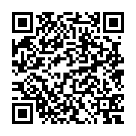 QR code for DPP0310