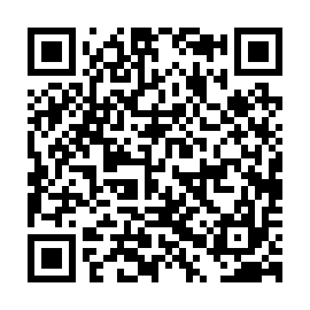 QR code for DPP217