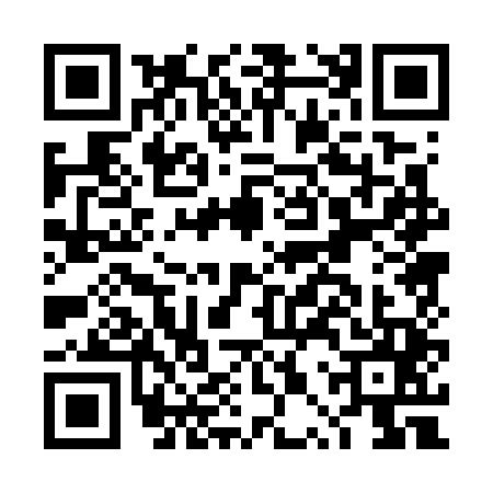 QR code for DPP7451