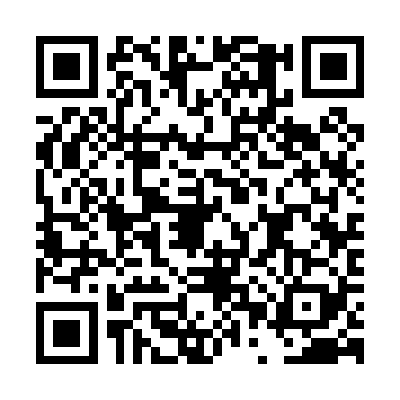 QR code for DPS0294