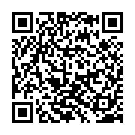 QR code for DPS811